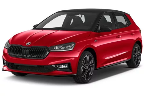 SKODA FABIA IV. Autoabdeckung (2021-)