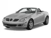 MERCEDES-BENZ SLK (R171) Autoabdeckung (2004-2011)