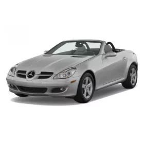 MERCEDES-BENZ SLK (R171) Autoabdeckung (2004-2011)