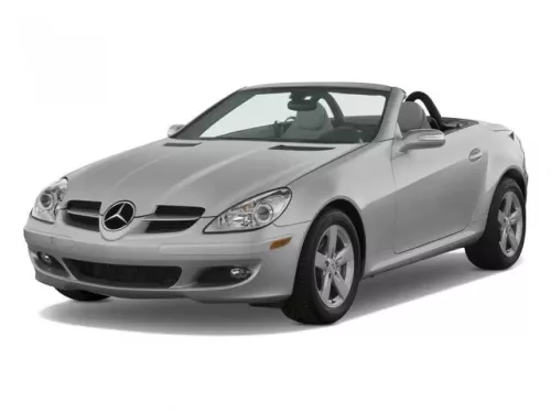 MERCEDES-BENZ SLK (R171) Autoabdeckung (2004-2011)
