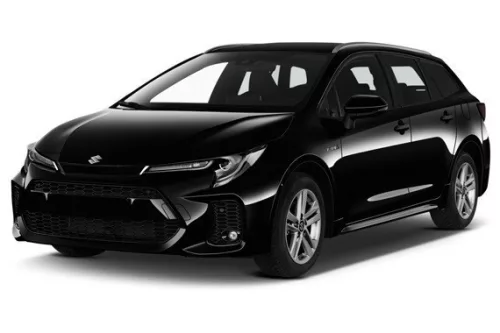 SUZUKI SWACE Autoabdeckung (2020-)