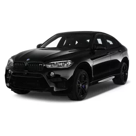 Autoabdeckung BMW X6 (F16) (2015-2019)