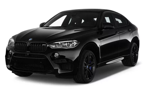 Autoabdeckung BMW X6 (F16) (2015-2019)