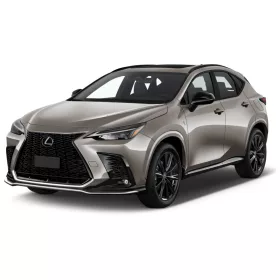 LEXUS NX 3D GUMIMATTEN (2021-)