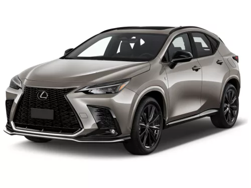 LEXUS NX 3D GUMIMATTEN (2021-)
