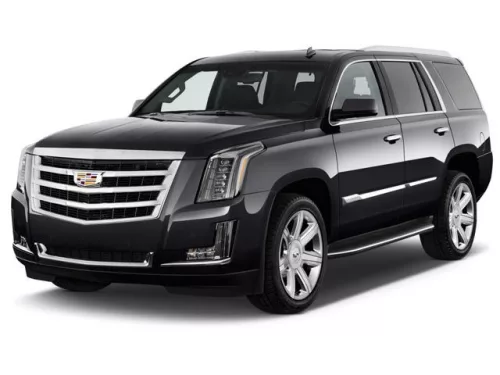 CADILLAC ESCALADE (2015-2020) AUTO GUMMIMATTEN