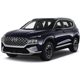 HYUNDAI SANTA FE (TM) AUTOTEPPICHE (2021-2024)
