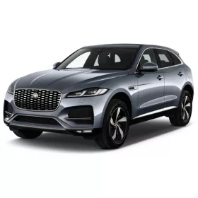 JAGUAR F-PACE WINABWEISER (2016-)