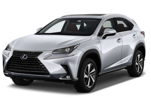 LEXUS NX AUTO GUMMIMATTEN (2014-2021)