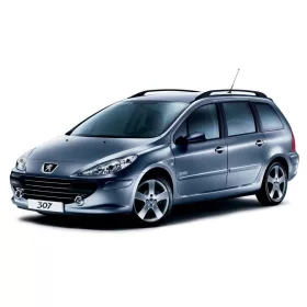 PEUGEOT 307 SW 3D GUMIMATTEN (2001-2009)