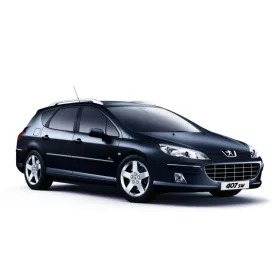 PEUGEOT 407 SW 3D GUMIMATTEN (2004-2011)