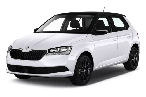 SKODA FABIA III. (NJ) 3D GUMIMATTEN (2014-2021)