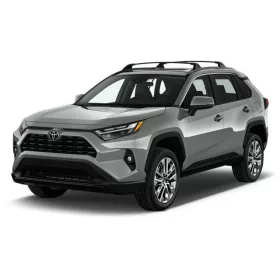 TOYOTA RAV4 (V) 3D GUMIMATTEN (2019-)
