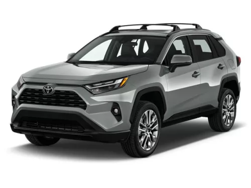 TOYOTA RAV4 (V) 3D GUMIMATTEN (2019-)