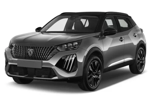 PEUGEOT 2008 3D GUMIMATTEN (2019-)