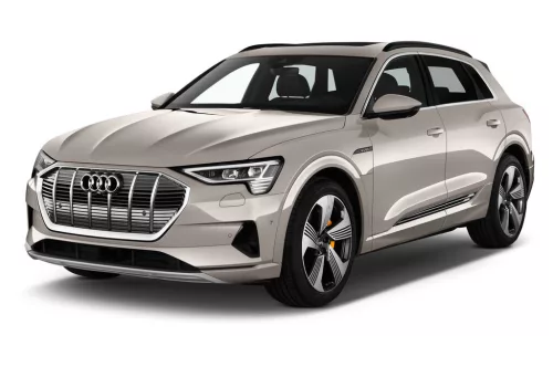 AUDI E-TRON AUTO GUMMIMATTEN (2019-)