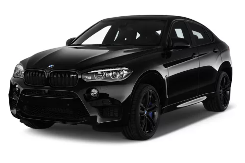 BMW X6 (F16) 3D GUMIMATTEN (2015-2019)