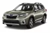 SUBARU FORESTER AUTO GUMMIMATTEN (2019-2024)