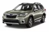 SUBARU FORESTER KOFFERRAUMWANNE (2019-2024)
