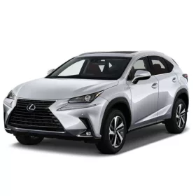 LEXUS NX 3D GUMIMATTEN (2014-2021)