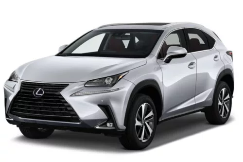 LEXUS NX 3D GUMIMATTEN (2014-2021)