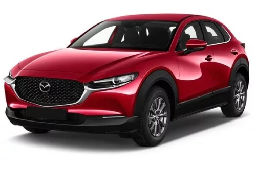 MAZDA CX-30 3D GUMIMATTEN (2019-)