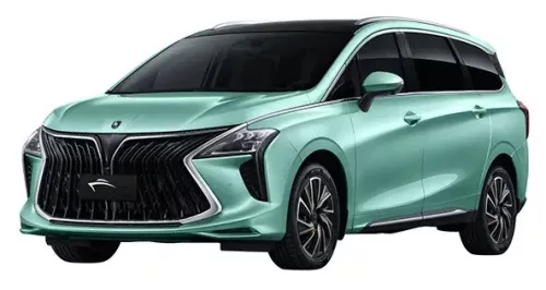 DONGFENG FORTHING U-TOUR KOFFERRAUMWANNE (2020-)