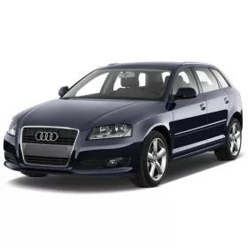 AUDI A3/S3/RS3 (8P/8PA) KOFFERRAUMWANNE (2003-2012)