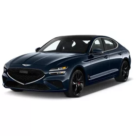 GENESIS G70 AUTO GUMMIMATTEN (2018-)