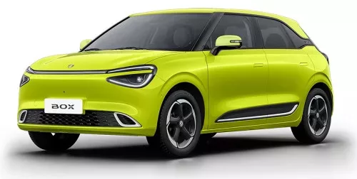 DONGFENG BOX AUTOTEPPICHE (2024-)