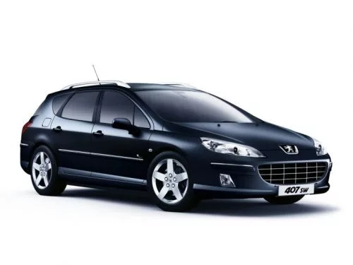PEUGEOT 407 WAGON REZAW-PLAST GUMMI FUẞMATTEN (2004-2011)