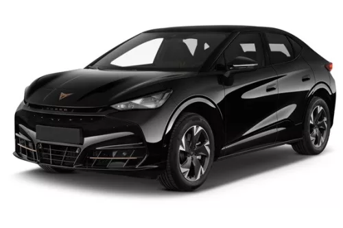 CUPRA TAVASCAN AUTOTEPPICHE (2024-)