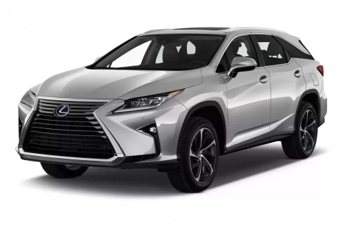 LEXUS RX 3D GUMIMATTEN (2016-2022)