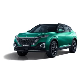 DONGFENG MAGE AUTO GUMMIMATTEN (2023-)