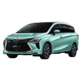 DONGFENG FORTHING U-TOUR AUTO GUMMIMATTEN (2020-)