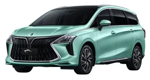 DONGFENG FORTHING U-TOUR AUTO GUMMIMATTEN (2020-)